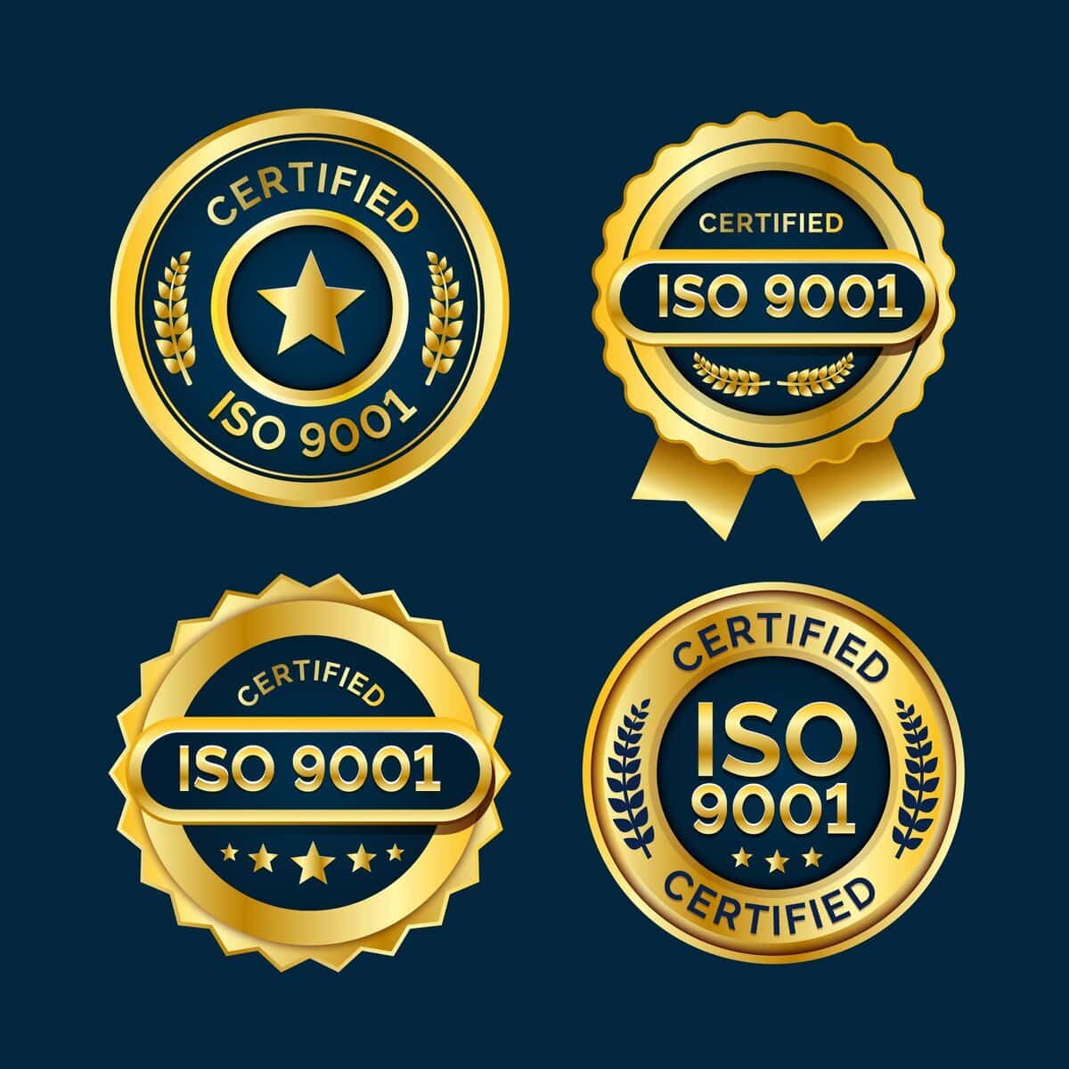 Professional presenting ISO certification to a business team in a formal setting