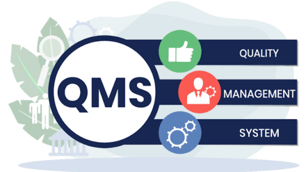 Infographic showing the five core elements of a QMS system.